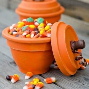 Terracotta Pumpkins