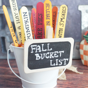 main bucket 1 1